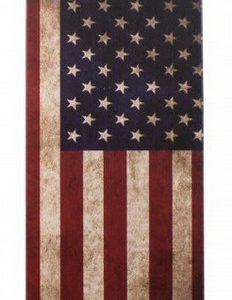 COVER IPHONE 5 USA (HD-COVER-011)